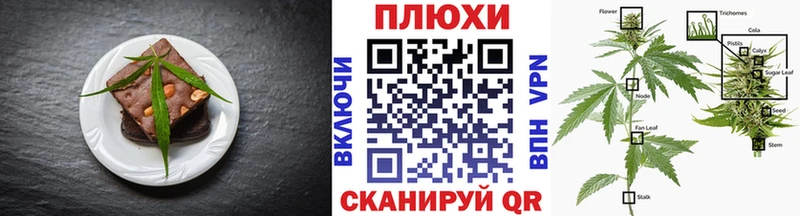 darknet какой сайт  блэк спрут ТОР  Чаплыгин  дарнет шоп  Cannafood конопля 