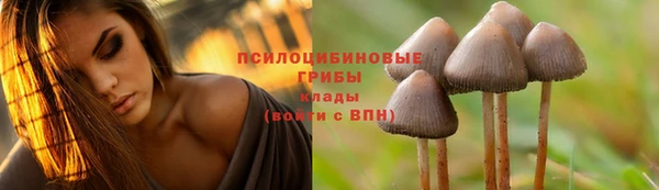 мет Осинники