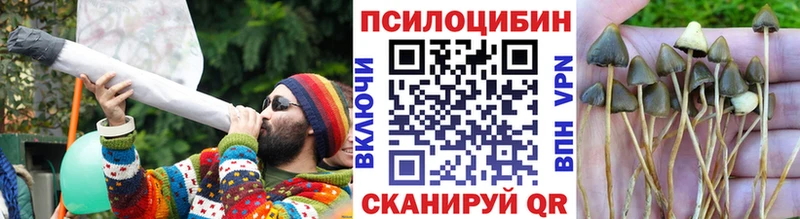 Псилоцибиновые грибы мицелий  купить наркотик  Чаплыгин 