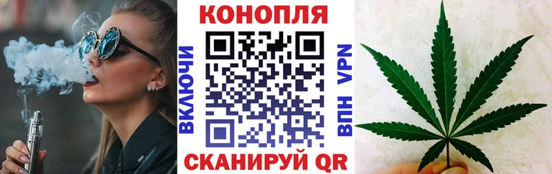 Бошки Шишки семена  закладки  Чаплыгин 
